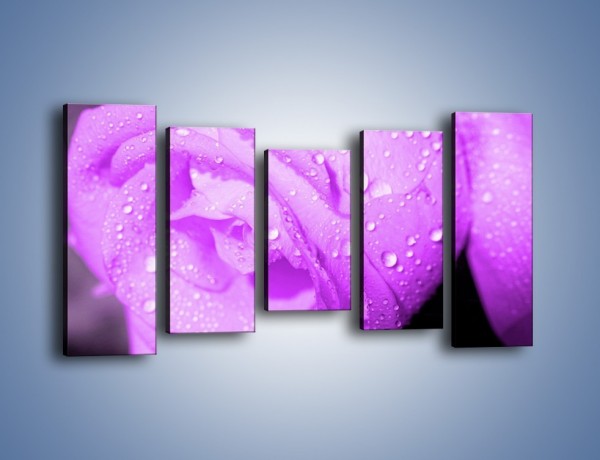 Obraz na płótnie – Jasno fioletowe skropione płatki – pięcioczęściowy K1020W2
