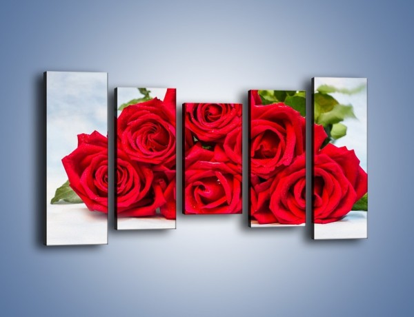 Obraz na płótnie – Czerwone róże bez kolców – pięcioczęściowy K1021W2
