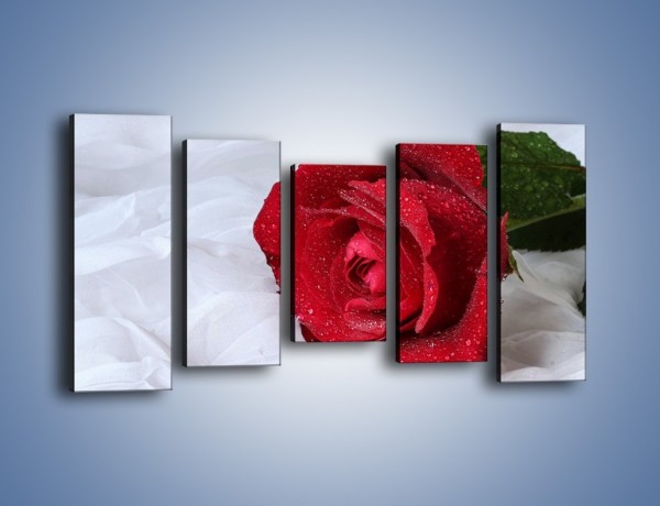 Obraz na płótnie – Bordowa róża na białej pościeli – pięcioczęściowy K1023W2