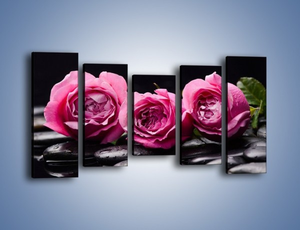 Obraz na płótnie – Malutkie różane trio – pięcioczęściowy K1027W2