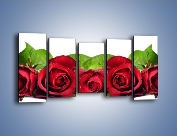 Obraz na płótnie – Pięknie ułożone róże – pięcioczęściowy K108W2