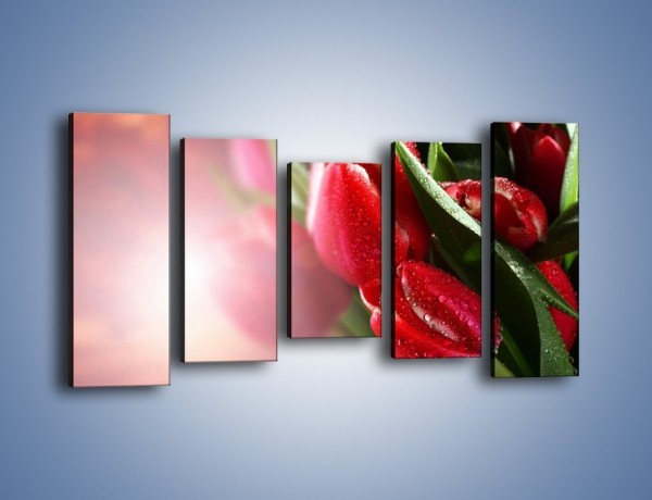 Obraz na płótnie – Ulewa nie straszna tulipanom – pięcioczęściowy K113W2