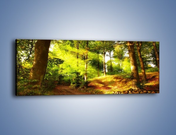 Obraz na płótnie – Spacer po lesie – jednoczęściowy panoramiczny KN077