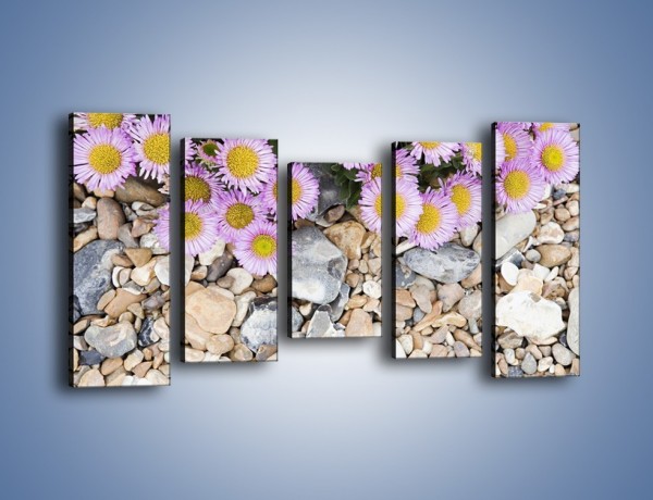 Obraz na płótnie – Kolorowe kamienie czy małe kwiatuszki – pięcioczęściowy K146W2