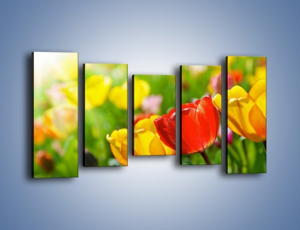 Obraz na płótnie – Wiosenne piękno w tulipanach – pięcioczęściowy K213W2