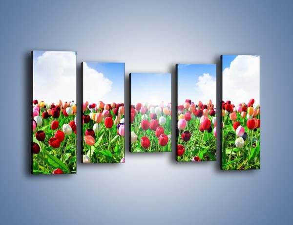 Obraz na płótnie – Droga do nieba z tulipanami – pięcioczęściowy K219W2