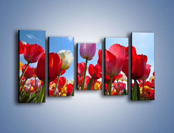 Obraz na płótnie – Kolorowy zawrót głowy z tulipanami – pięcioczęściowy K221W2