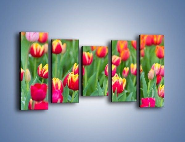 Obraz na płótnie – Spacer wśród czerwonych tulipanów – pięcioczęściowy K231W2