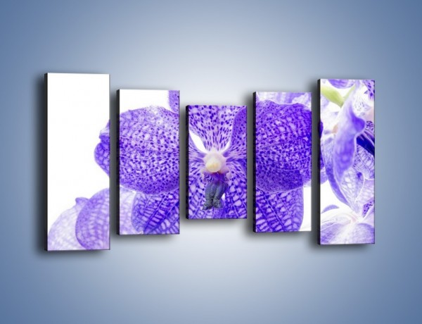 Obraz na płótnie – Jasny fiolet rządzi w kwiatach – pięcioczęściowy K259W2