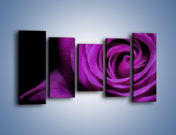 Obraz na płótnie – Tajemniczy różany fiolet – pięcioczęściowy K313W2