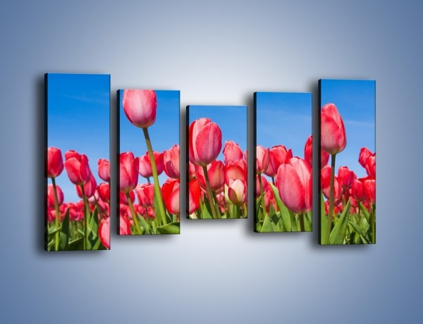 Obraz na płótnie – Tulipany czerwone jak nigdy – pięcioczęściowy K345W2