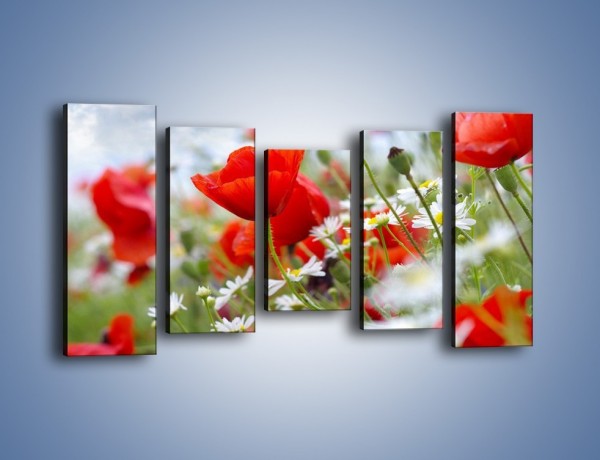 Obraz na płótnie – Polana pełna kwiatów – pięcioczęściowy K371W2