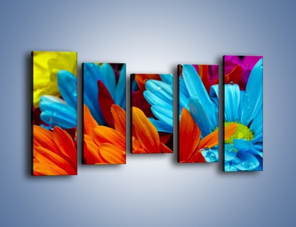 Obraz na płótnie – Kolorowo i kwiatowo – pięcioczęściowy K375W2