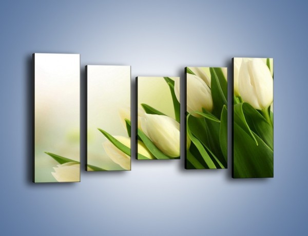 Obraz na płótnie – Białe tulipany na zgodę – pięcioczęściowy K400W2