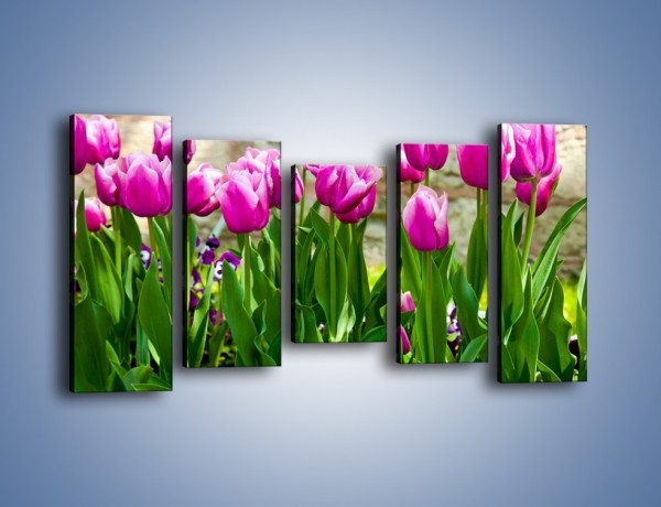 Obraz na płótnie – Tulipany w domowym ogródku – pięcioczęściowy K409W2