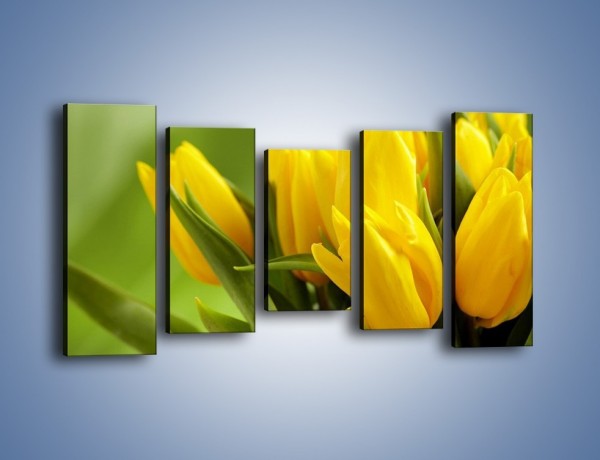 Obraz na płótnie – Słońce schowane w tulipanach – pięcioczęściowy K424W2