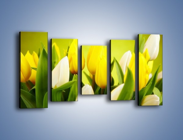 Obraz na płótnie – Nie tylko tulipany – pięcioczęściowy K425W2