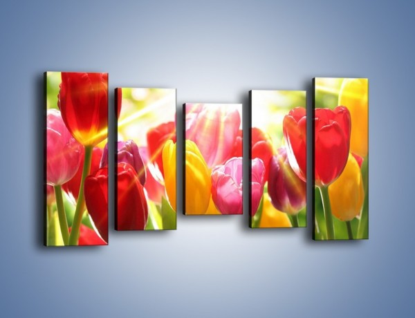 Obraz na płótnie – Bajecznie słoneczne tulipany – pięcioczęściowy K428W2