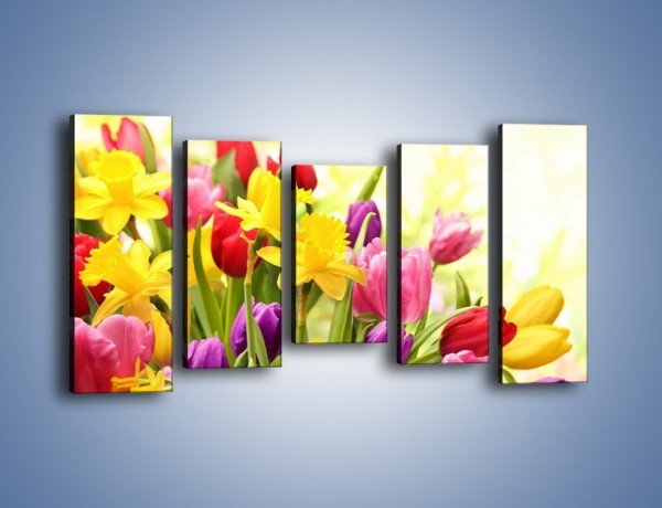 Obraz na płótnie – Żonkile wśród tulipanów – pięcioczęściowy K430W2
