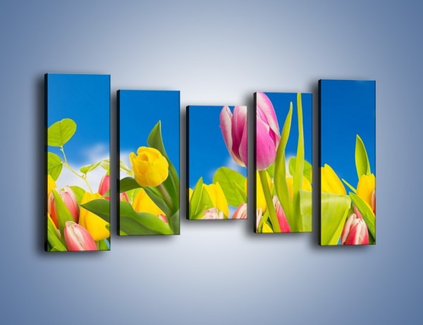 Obraz na płótnie – Kolorowe tulipany w bajkowej oprawie – pięcioczęściowy K431W2