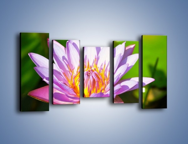 Obraz na płótnie – Wesoły kwiat w słońcu – pięcioczęściowy K455W2
