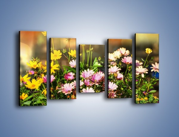 Obraz na płótnie – Polne kwiaty z uśmiechem – pięcioczęściowy K456W2