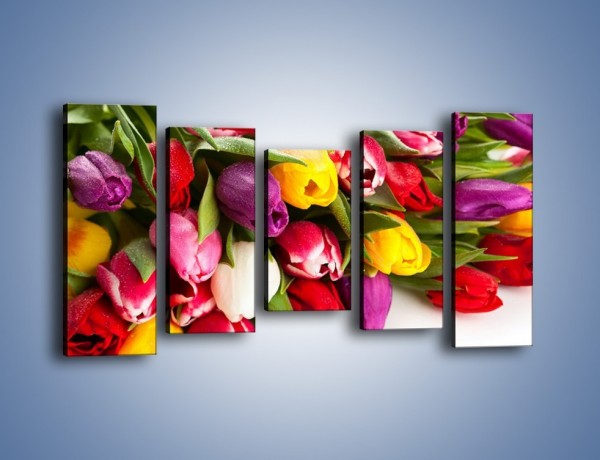 Obraz na płótnie – Spokój i luz zachowany w tulipanach – pięcioczęściowy K538W2