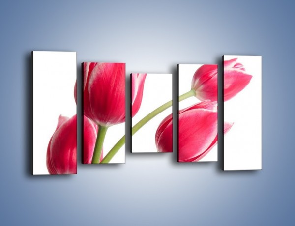 Obraz na płótnie – Pięć razy tulipany – pięcioczęściowy K551W2