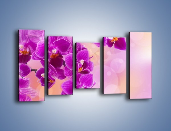 Obraz na płótnie – Spadające fioletowe kwiaty – pięcioczęściowy K614W2