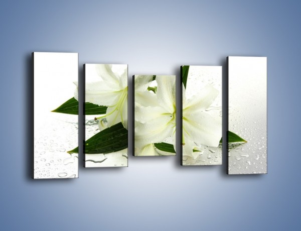 Obraz na płótnie – Niewinność białej lilii – pięcioczęściowy K632W2
