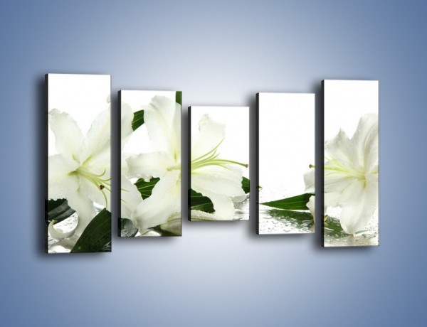 Obraz na płótnie – Czysta biel kwiatów – pięcioczęściowy K633W2
