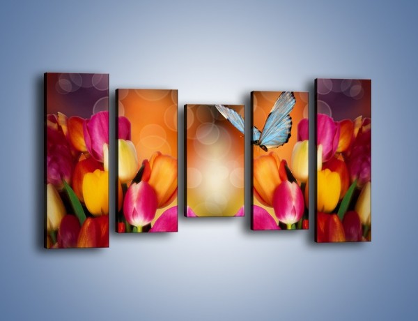 Obraz na płótnie – Motyl wśród tulipanów – pięcioczęściowy K635W2
