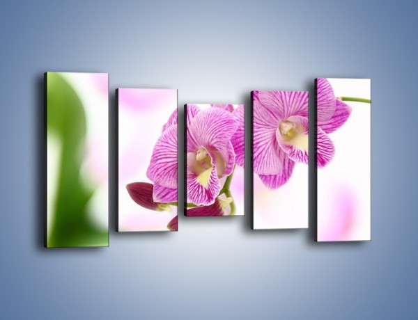 Obraz na płótnie – Kwiat pełen pasji – pięcioczęściowy K689W2