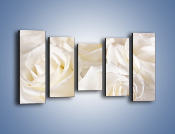 Obraz na płótnie – Dywan z białych róż – pięcioczęściowy K711W2