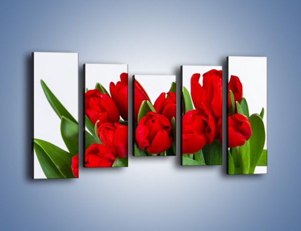Obraz na płótnie – Tulipany na dzień kobiet – pięcioczęściowy K740W2