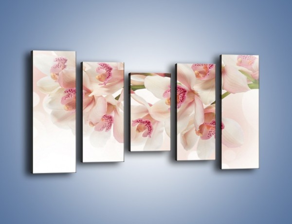 Obraz na płótnie – Szlachetne różowe storczyki – pięcioczęściowy K756W2