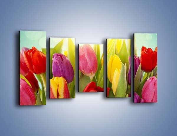 Obraz na płótnie – Tulipany w pierwszym rzędzie – pięcioczęściowy K760W2