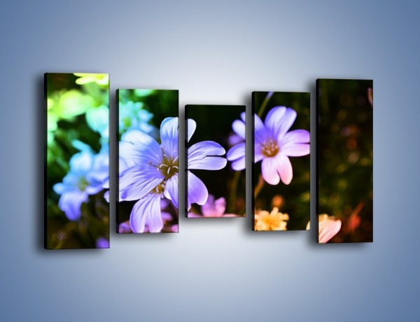 Obraz na płótnie – Niebieskie główki kwiatuszków – pięcioczęściowy K769W2
