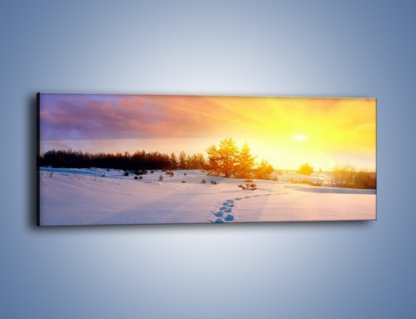 Obraz na płótnie – Ślady na śnieżnym puchu – jednoczęściowy panoramiczny KN1015