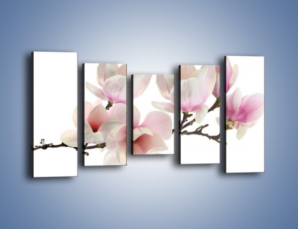 Obraz na płótnie – Zerwana gałązka magnolii – pięcioczęściowy K780W2