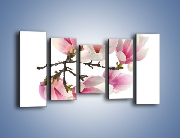 Obraz na płótnie – Wirujące kwiaty magnolii – pięcioczęściowy K781W2