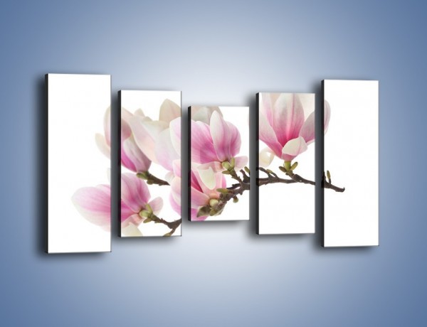 Obraz na płótnie – Rzut na gałąź magnolii – pięcioczęściowy K782W2