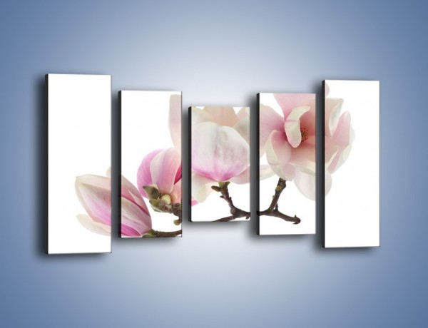 Obraz na płótnie – Obcięte gałązki białych różowych kwiatów – pięcioczęściowy K783W2