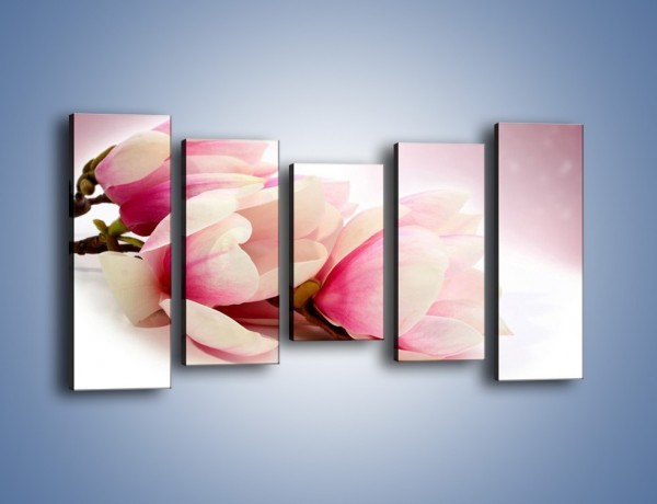 Obraz na płótnie – Gałąź magnolii na obłoku – pięcioczęściowy K817W2