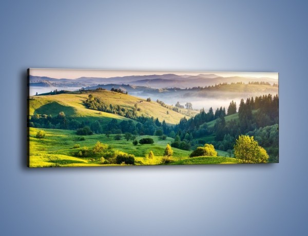 Obraz na płótnie – Górska polana z lotu ptaka – jednoczęściowy panoramiczny KN1016