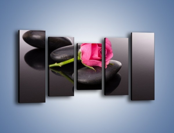 Obraz na płótnie – Ścięta róża na czarnej tafli – pięcioczęściowy K832W2