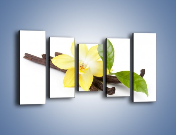 Obraz na płótnie – Samotny kwiat i dodatki – pięcioczęściowy K849W2