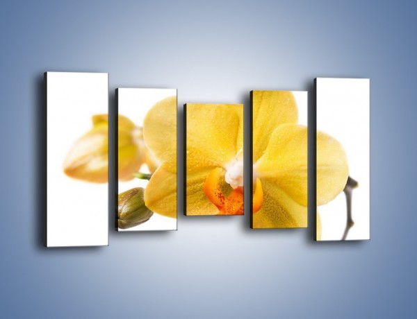 Obraz na płótnie – Kwiat jak soczysta pomarańcza – pięcioczęściowy K851W2