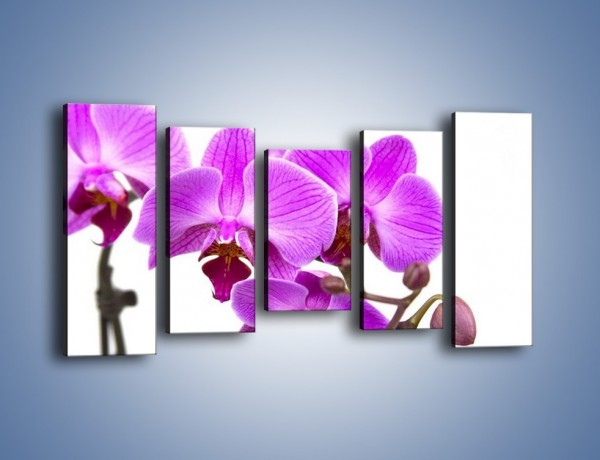 Obraz na płótnie – Samotne kwiaty bez dodatków – pięcioczęściowy K870W2