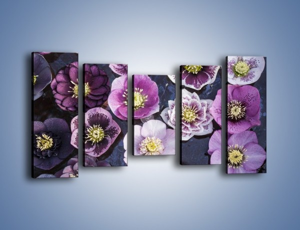 Obraz na płótnie – Wszystkie odcienie fioletu w kwiatach – pięcioczęściowy K876W2